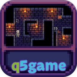 q5game